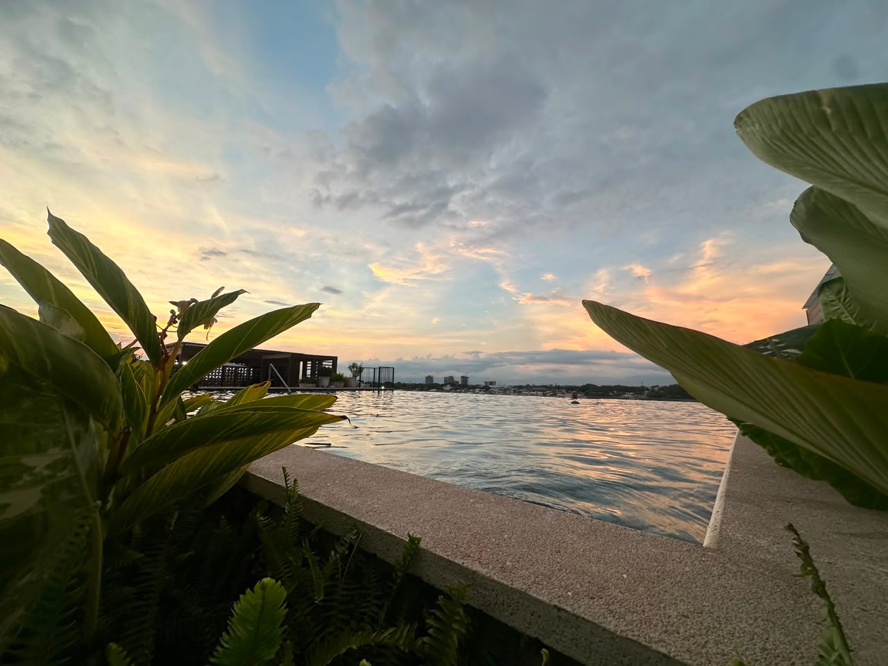 WhatsApp Image 2026-08-18 at 3.41.43 PM (1) HABITAT FLUVIAL VALLARTA